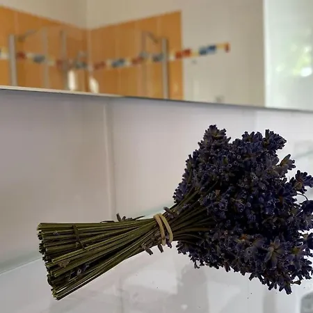 Mit 2 Schlafzimmern Und 2 Baedern 펜션 그로센하인