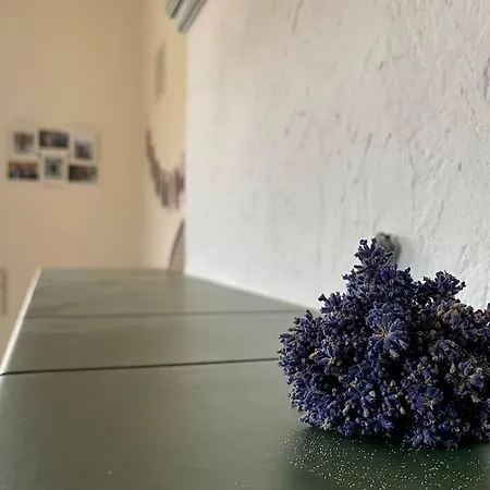 - Ganzes Haus Fuer Euch Allein * Grossenhain