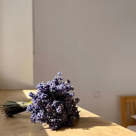 Mit 2 Schlafzimmern Und 2 Baedern 펜션 *