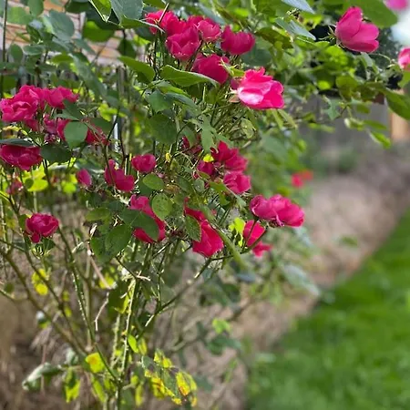 Mit 2 Schlafzimmern Und 2 Baedern * 그로센하인